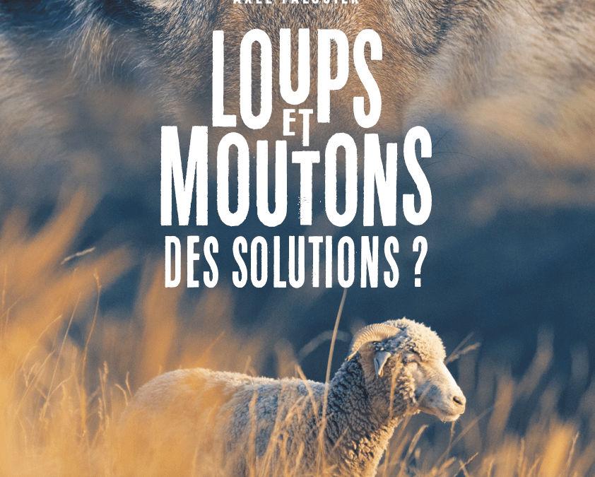 Loups et moutons : des solutions ?