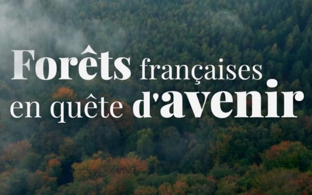 Forêts françaises, en quête d’avenir