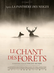 Le Chant des forêts - affiche