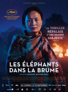 Les Éléphants dans la brume - affiche