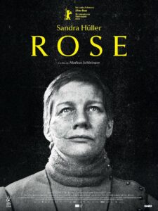Rose - affiche
